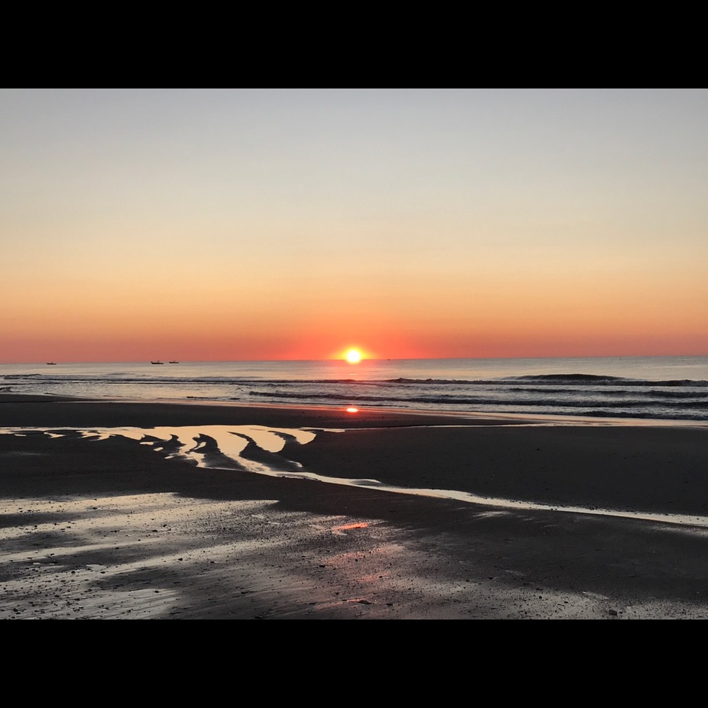 Meet your Posher, Chelsea